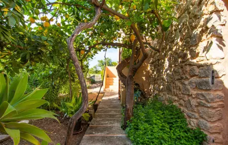 Sa Granja, Maison 4 personnes à Arta - Photo 17