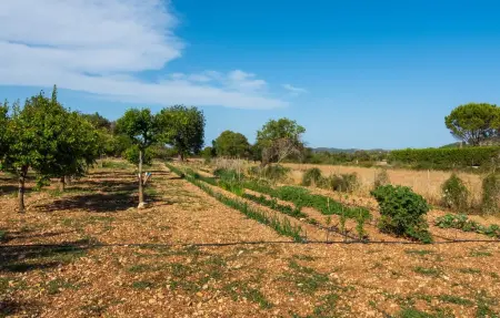 Sa Granja, Maison 4 personnes à Arta - Photo 23