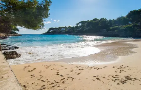 Playa d'Or, Appartement 4 personnes à Cala dOr - Photo 36