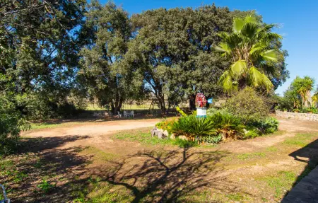 Sa Figuera Blanca, maison 4 pers. avec piscine à Búger : photo 16