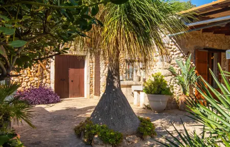 Sa Figuera Blanca, maison 4 pers. avec piscine à Búger : photo 18