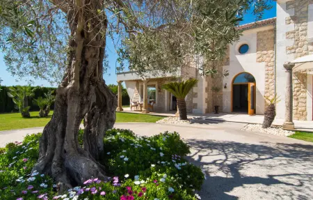 Ses Rentadores, Maison 8 personnes à Selva - Photo 32