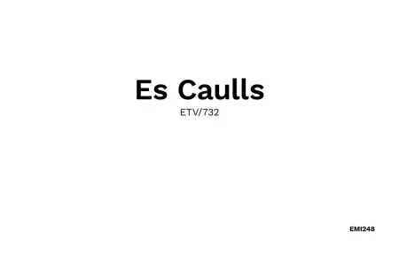 Es Caulls, Maison 6 personnes à Llubi - Photo 45