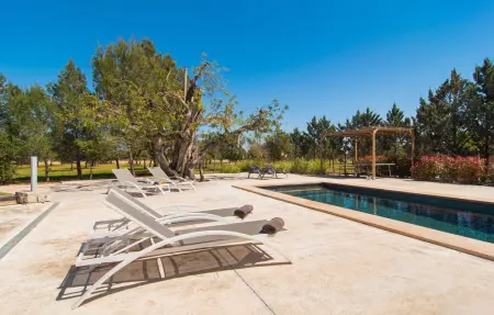 Es Triquet, maison majorquine avec piscine à Binissalem : photo 4