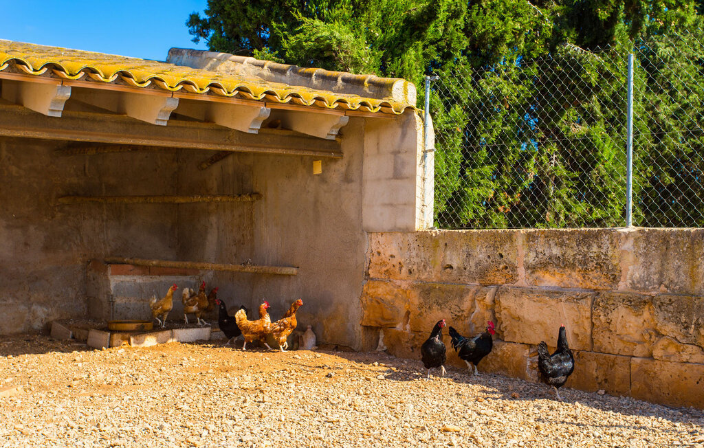 Son Viquet, Maison 6 personnes à Campos - Photo 24