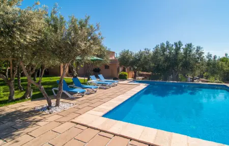 Can Picaroll, maison 4 pers. vue Puig de Ferrutx : photo 14