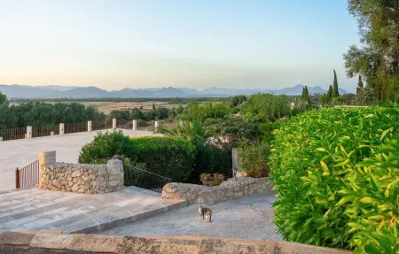 Appartement Son Flo à Santa Margalida, terrasse ombragée et piscine : photo 20