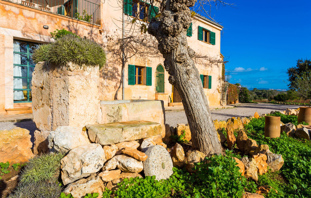 Sa Cova Formentera, Appartement 4 personnes à Campos - Photo 14