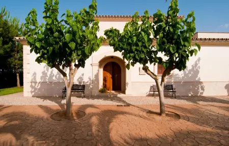 Cas Sabateret, villa 8 pers. avec piscine privée à Muro : photo 26