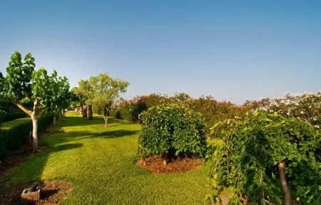 Cas Sabateret, villa 8 pers. avec piscine privée à Muro : photo 28