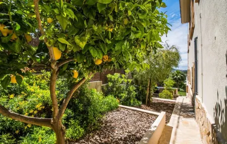 Villa Xapala : maison 400 m² avec piscine à Cala Ratjada : photo 23