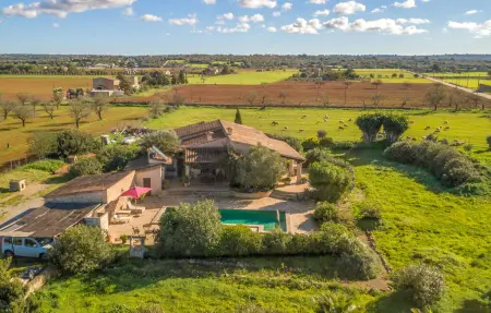 San Blai Llum de Sal – Maison 6 pers. avec piscine à Campos : photo 16
