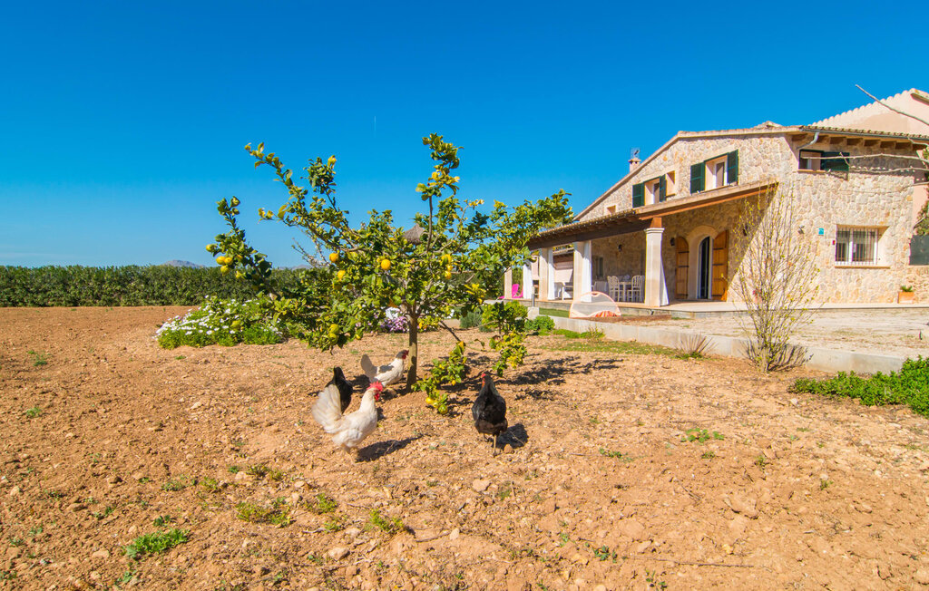 Can Ferrer, Maison 6 personnes à Alcudia - Photo 14
