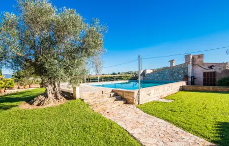 Bonavista de Muro – Finca 8 pers., piscine 12m : photo 3