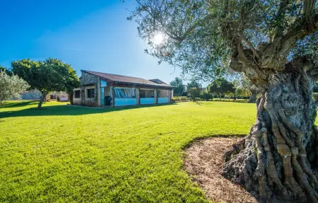 Bonavista de Muro – Finca 8 pers., piscine 12m : photo 5