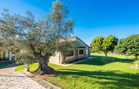 Bonavista de Muro – Finca 8 pers., piscine 12m : photo 6
