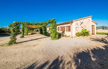 Bonavista de Muro – Finca 8 pers., piscine 12m : photo 7