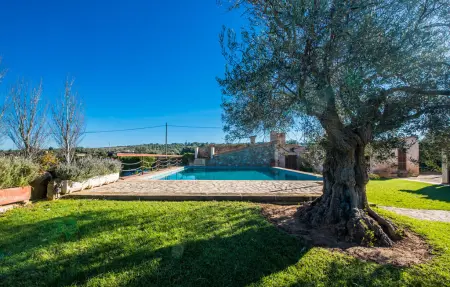 Bonavista de Muro – Finca 8 pers., piscine 12m : photo 12