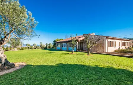 Bonavista de Muro – Finca 8 pers., piscine 12m : photo 14