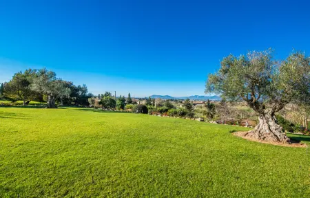 Bonavista de Muro – Finca 8 pers., piscine 12m : photo 19