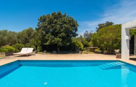Plana Petita, villa avec piscine à Port Verd : photo 6
