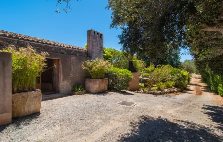 Plana Petita, villa avec piscine à Port Verd : photo 24