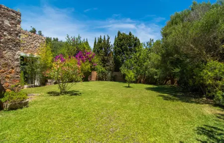Plana Petita, villa avec piscine à Port Verd : photo 26