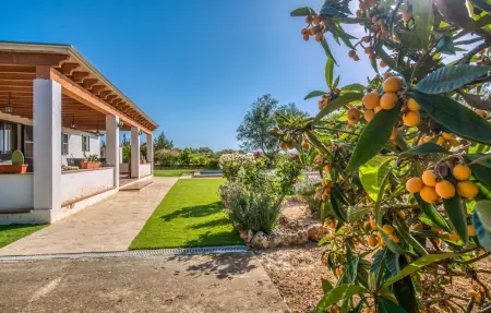 Roca de Tejos, maison avec piscine à Sa Coma : photo 21