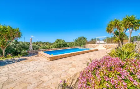 El Colibri - Finca majorquine 260 m² piscine chauffée : photo 10