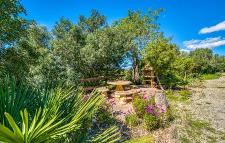 El Colibri - Finca majorquine 260 m² piscine chauffée : photo 18