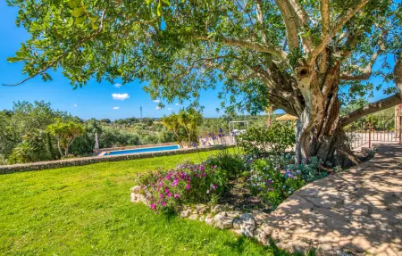 El Colibri - Finca majorquine 260 m² piscine chauffée : photo 25