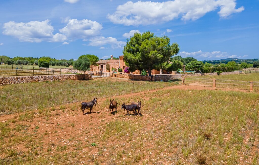 La Mallorquina, Maison 12 personnes à Manacor - Photo 55