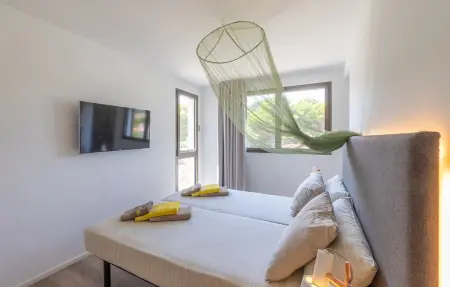 Villa Lifetime : maison 6 chambres avec piscine débordement : photo 37
