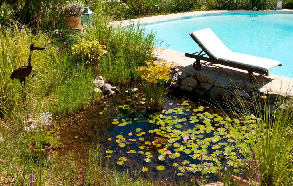 Los Palmitos : appartement avec piscine privée près d'Artà, Majorque - Photo 17