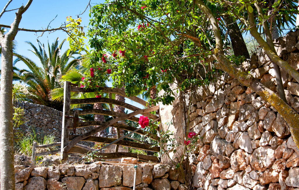 Ses Pedres, Maison 8 personnes à Manacor - Photo 15