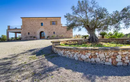 Ses Sitjoles Seques, maison rurale 10 pers. à Campos : photo 13