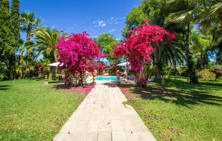 Villa Santa Lucia, maison XVIIIe siècle à Binissalem : photo 8