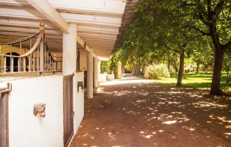 Villa Santa Lucia, maison XVIIIe siècle à Binissalem : photo 18