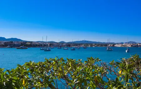 Villa Esperanza, maison moderne au bord de mer à Portocolom : photo 20