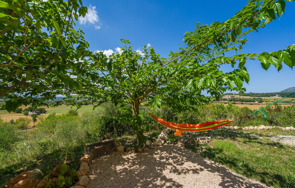 Son Talent, maison 4 chambres à Manacor avec piscine - Photo 23