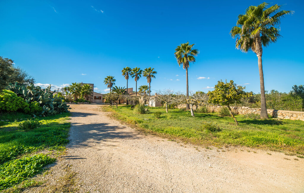 Es Moli de na Sebastiana – Maison pierre aux Salines - Photo 16