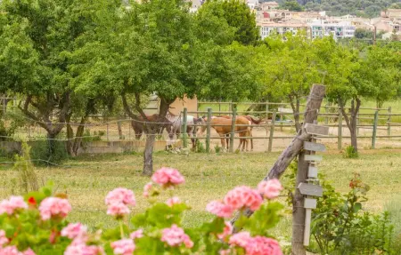 Ca Na Castell Son Rubi, Maison 7 personnes à Selva - Photo 22