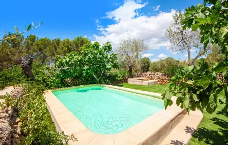 Ruris : maison rénovée 12 000 m² avec piscine privée : photo 4