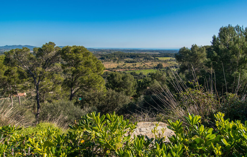 Dues, Maison 8 personnes à Manacor - Photo 18