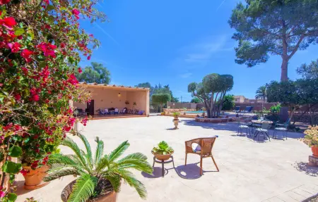 Es Mateus : finca majorquine 6 pers. avec piscine : photo 6