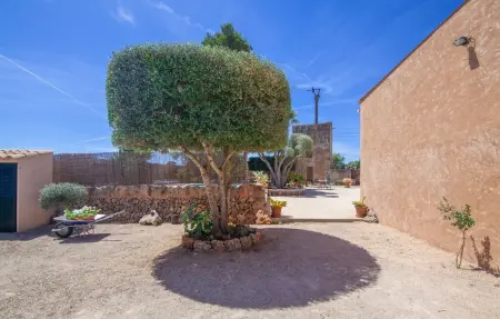 Es Mateus : finca majorquine 6 pers. avec piscine : photo 18