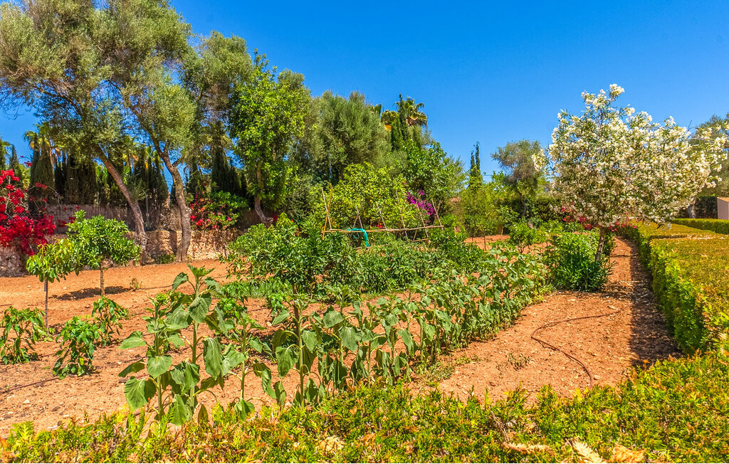 Villa Florentina, Maison 10 personnes à Llucmajor - Photo 23