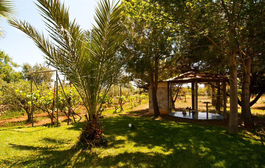 Can Lopez Vara : maison 10 pers., piscine 10 m à Campos - Photo 23