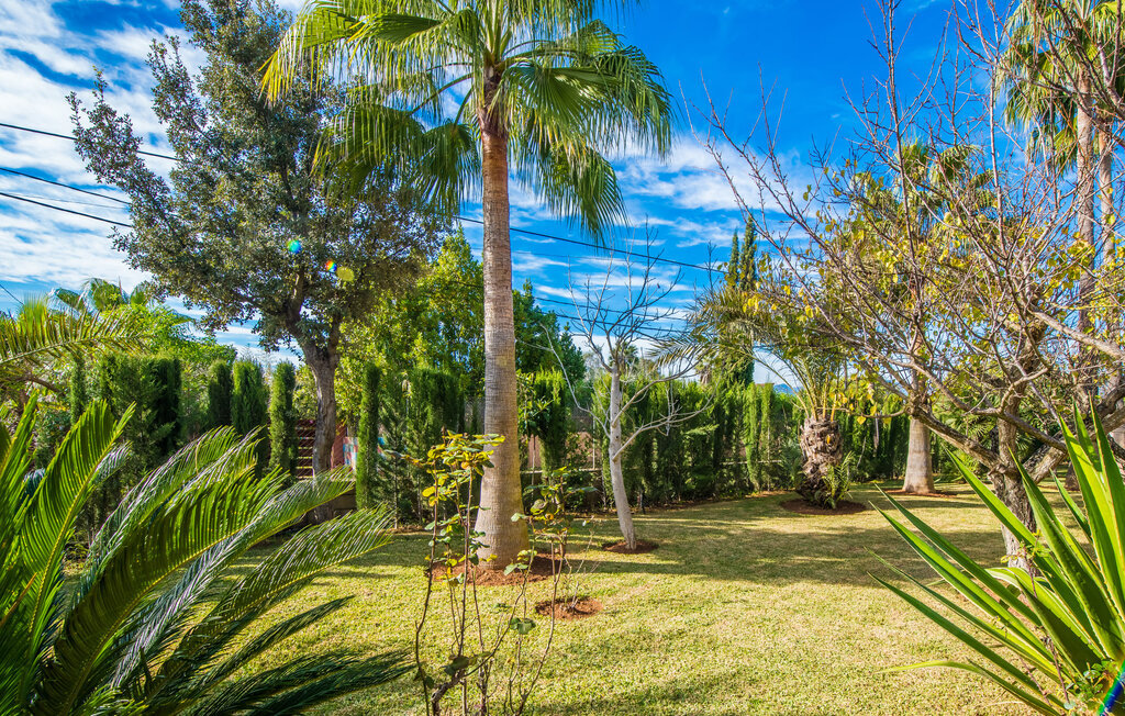 Son Mesquida de Inca – Maison 12 pers. piscine & jardin - Photo 16