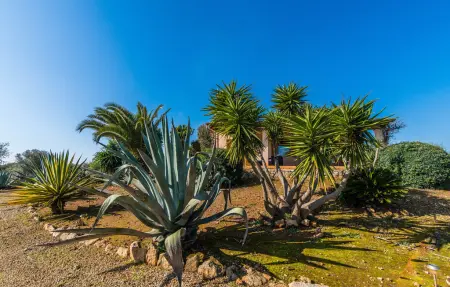 Mi Vida, Maison 4 personnes à Santanyi - Photo 30